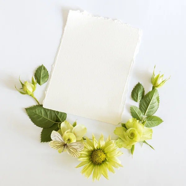 Frame met rozen, groene bloemen bladeren en butterflay op witte achtergrond. — Stockfoto