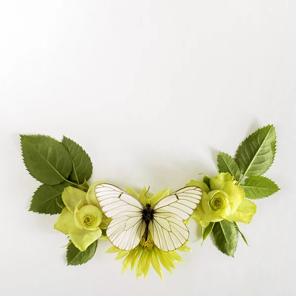 Рамка з трояндами, листя зелених квітів і масляниста на білому тлі . — стокове фото