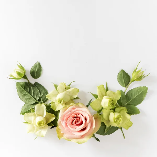 Рамка с розами, зелеными цветами и листьями на белом фоне . — стоковое фото
