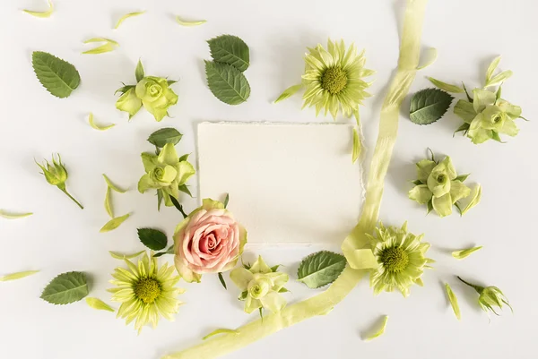 Cornice con rose, fiori verdi e foglie su sfondo bianco . — Foto Stock