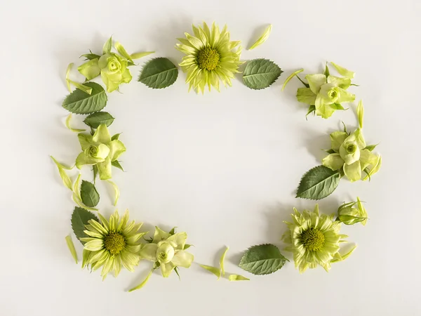 Rahmen mit Rosen, grünen Blüten und Blättern auf weißem Hintergrund. — Stockfoto