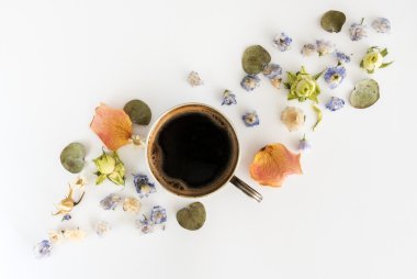 Fincan kahve ve beyaz arka plan, Kuru flovwers. Düz yatıyordu, en iyi görünümü