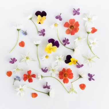 Çiçeklerin renkli parlak desen yaptı. Düz yatıyordu, en iyi görünümü