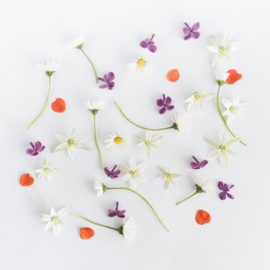 Çiçeklerin renkli parlak desen yaptı. Düz yatıyordu, en iyi görünümü