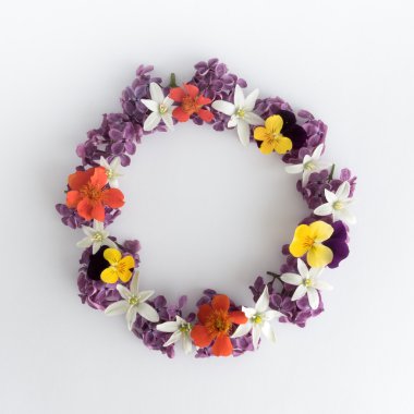 Daire çerçeve, beyaz arka plan, tebrik kartı, dekorasyon kartpostal veya davet mor çiçek çelenk