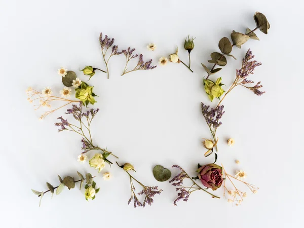 Kuru çiçekler arka plan çerçevesinde. Düz yatıyordu, en iyi görünümü