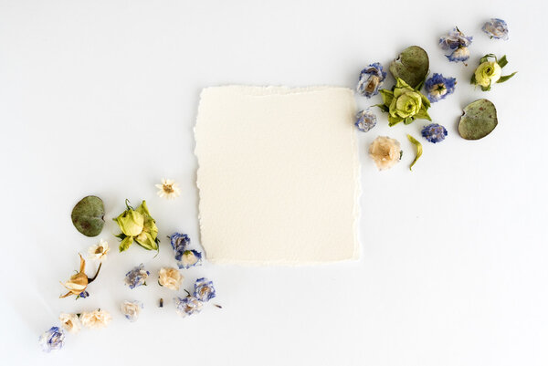 Frame of dry flowers background. Flat lay, top view