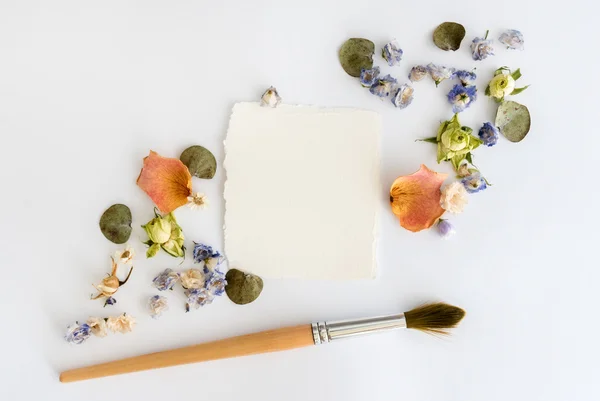 Cadre de fond de fleurs colorées. Couché plat, vue du dessus — Photo