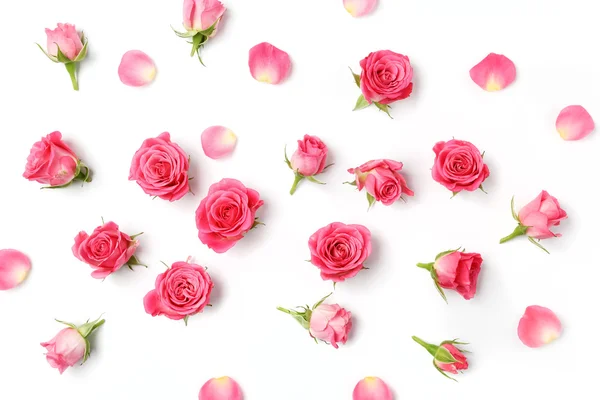 Cabeças de rosas sortidas no fundo branco. Vista aérea. Depósito plano — Fotografia de Stock