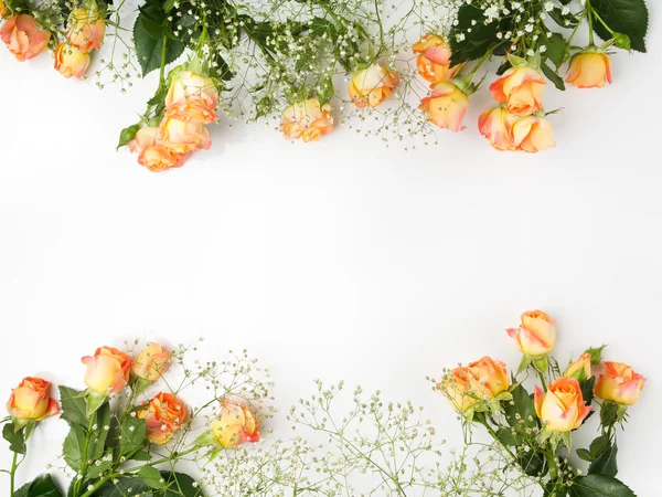 Frame with roses on white background. flat lay, overhead view. — Stock Photo, Image