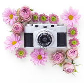 Vintage camera a růžový květ na bílém pozadí. Plochá ležel, horní pohled