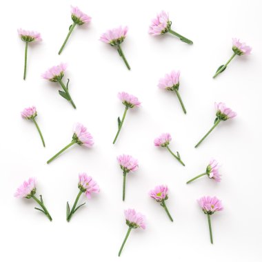 Pembe çiçekler arka plan. Düz yatıyordu.