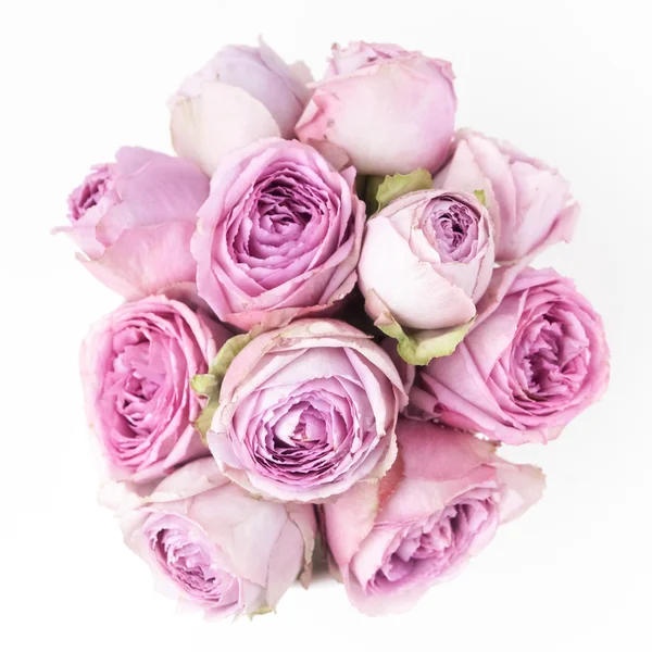 Pink roses on white background. Top view — Stock Photo, Image