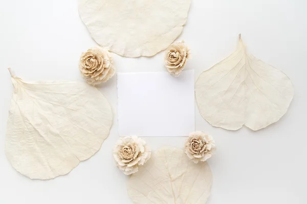 Marco con flores secas sobre fondo blanco. Colocación plana, vista aérea —  Fotos de Stock