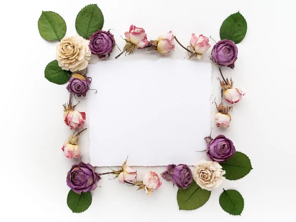 Framework with dry flowers on white background. Flat lay, overhead view — Stock Photo, Image