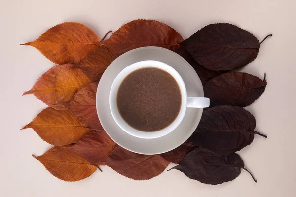 Xícara de café com folhas de outono. Decoração de outono, clima de queda — Fotografia de Stock