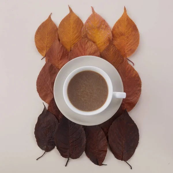 Xícara de café com folhas de outono. Decoração de outono, clima de queda — Fotografia de Stock