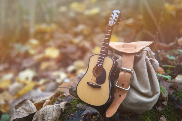 Camping in forest concept. Bagpack and guitar in forest background — Stock Photo, Image