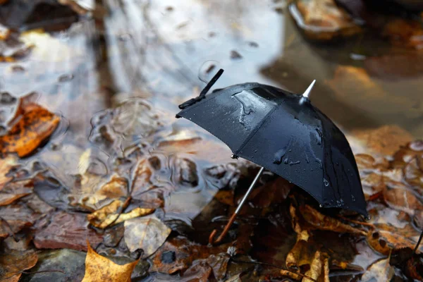 Ombrello nero in una pozzanghera con foglie autunnali. Concetto autunno — Foto Stock