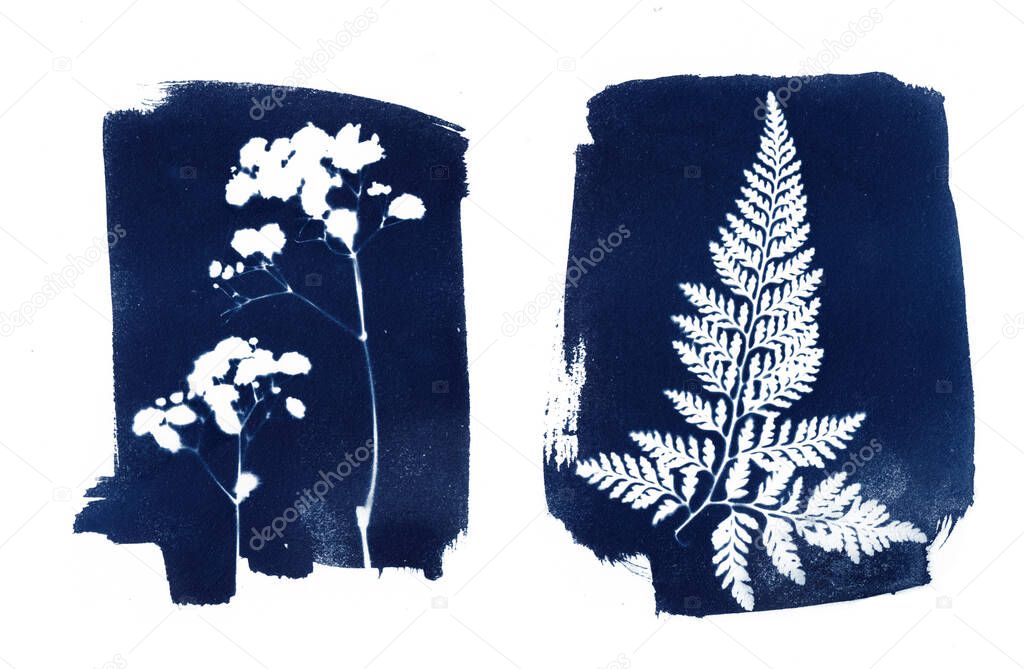 Sun printing, cyanotype process. Floral pattern on watercolor paper.