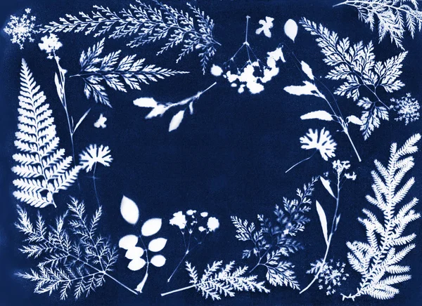 Sun printing, cyanotype process. Floral pattern on watercolor paper. — Stock Photo, Image