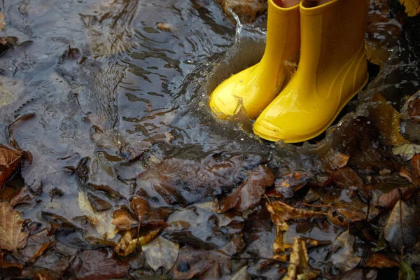 Pies de niño en botas de goma amarillas saltando en charco en el día de otoño. — Foto de Stock