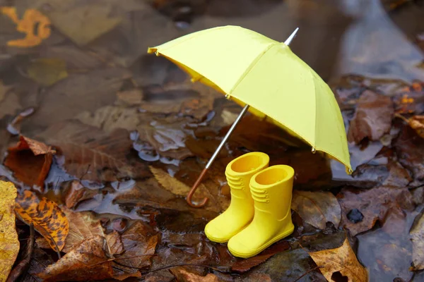 Yellow umbrella and rubber boots in a poddle with autumn fall leaves. Autumn concept