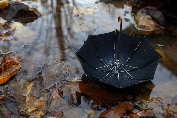 Черный зонтик в поддоне с осенними осенними листьями. Осенняя концепция — стоковое фото