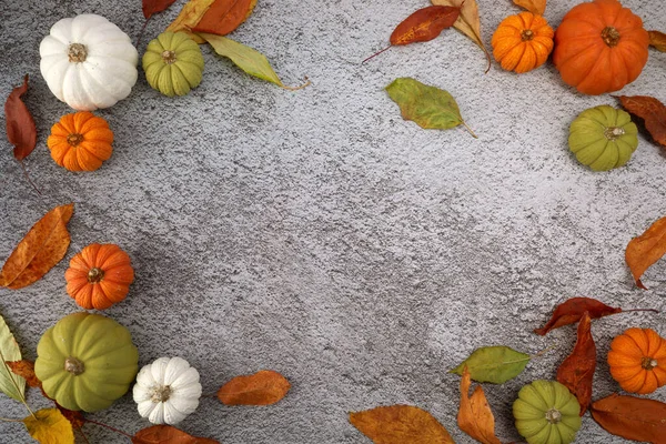 Fondo de acción de gracias o cosecha con calabazas y hojas otoñales sobre fondo de cemento — Foto de Stock