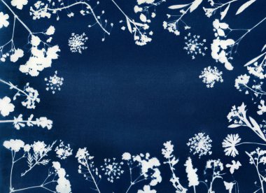 Sun printing, cyanotype process. Floral pattern on watercolor paper. clipart