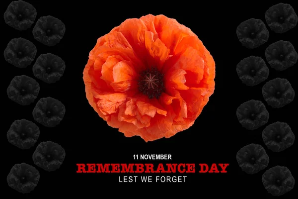 Remembrance day banner. Poppy flower on black background. — Stock Photo, Image