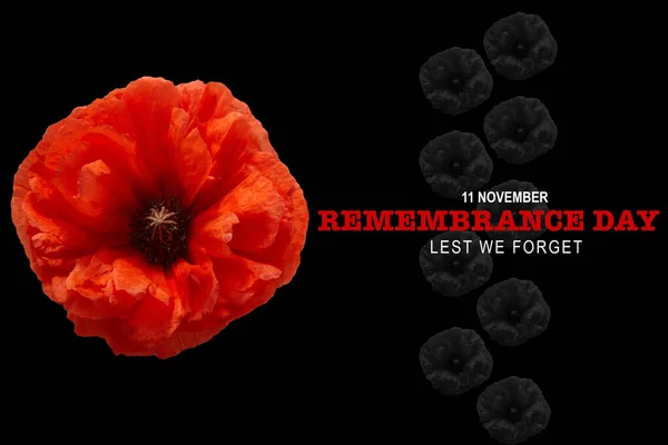 Remembrance day banner. Poppy flower on black background. — Stock Photo, Image