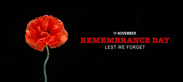 Remembrance day banner. Poppy flower on black background. — Stock Photo, Image