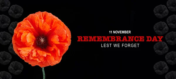 Remembrance day banner. Poppy flower on black background. — Stock Photo, Image