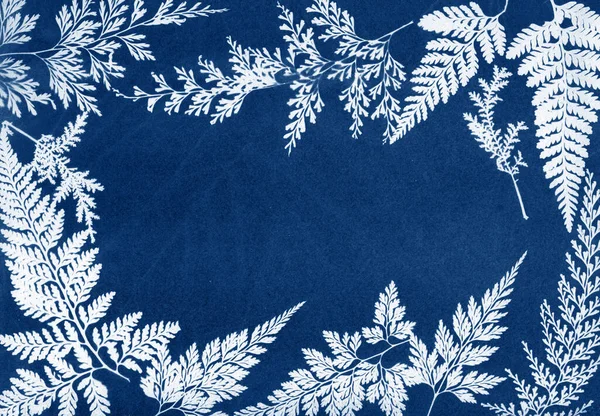 Sun printing, cyanotype process. Floral pattern on watercolor paper. — Stock Photo, Image