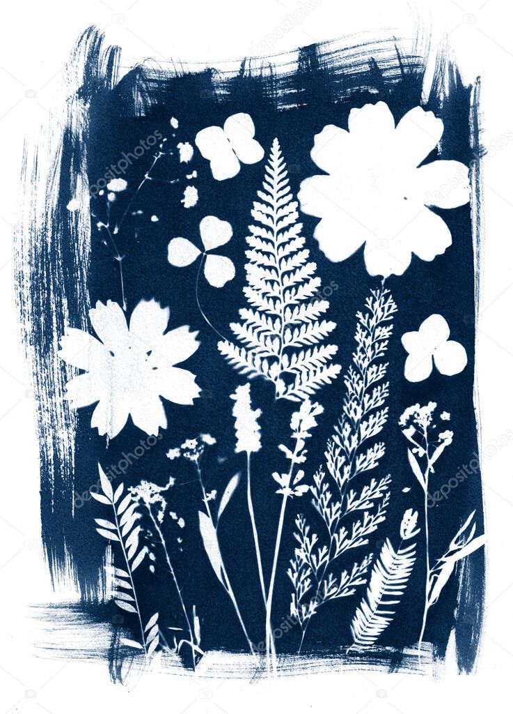 Sun printing, cyanotype process. Floral pattern on watercolor paper.