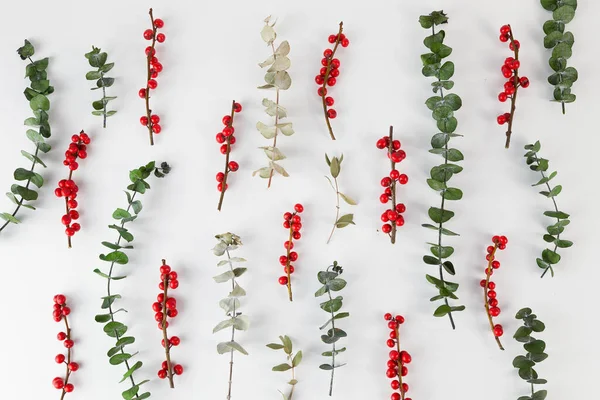 Floral pattern on white paper. Dry eucalyptus with red berries. Flat lay. Top view — Stock Photo, Image