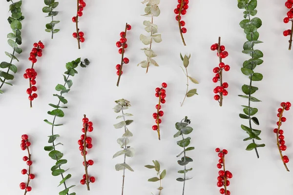 Motif floral sur papier blanc. Eucalyptus sec aux baies rouges. Pose plate. Vue du dessus — Photo