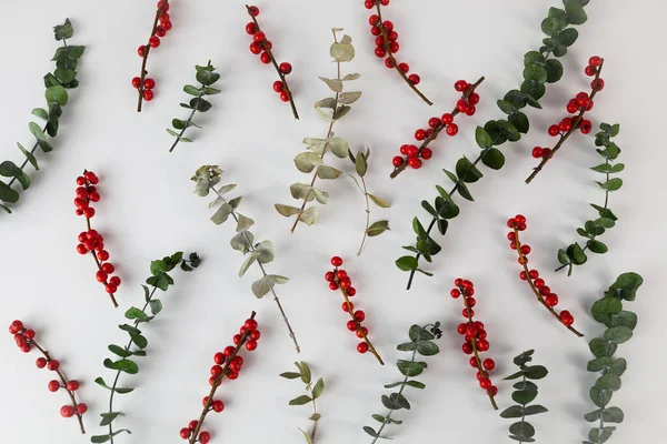 Floral pattern on white paper. Dry eucalyptus with red berries. Flat lay. Top view — Stock Photo, Image