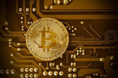 Anakaradaki altın bitcoin. Kripto para birimi kavramı