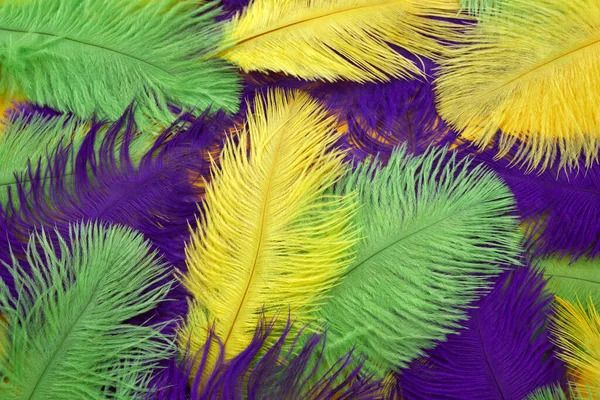 Mardi gras färg fjädrar bakgrund. Naturfadern — Stockfoto