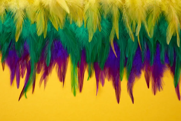 Mardi gras color feathers background. Nature patern — Stock Photo, Image