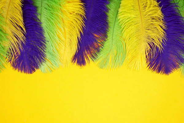 Fundo de penas de cor Mardi gras. Natureza patern — Fotografia de Stock