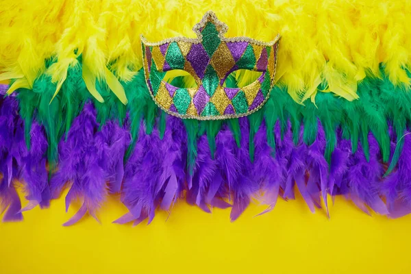 Yüz maskeli ve Mardi Gras renk tüylü Mardi Gras karnavalı konsepti. — Stok fotoğraf