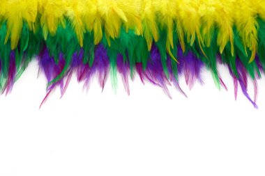 Mardi gras renk tüyü arka planı. Doğa babası.