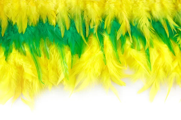 Brasil Mardi gras carnival background with multicolor feathers — Stock Photo, Image