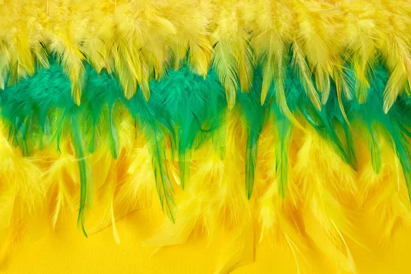 Brasil Mardi gras carnival background with multicolor feathers — Stock Photo, Image