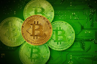 Anakaradaki altın Bitcoin 'ler. Üst görünüm.