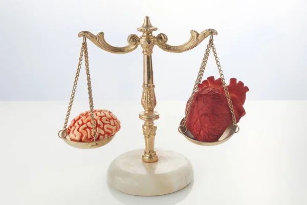 Brain and heart on scale balance on white background — Stock Photo, Image