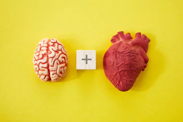 Känslor och tankekoncept. Hjärna plus hjärta på gul bakgrund. Ovanifrån. — Stockfoto